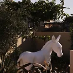 Hotel Nauma Paros Design Boutique Hotel-adults Only